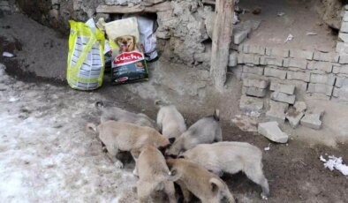 İstanbul’dan Erzurum’a uzanan yardım eli
