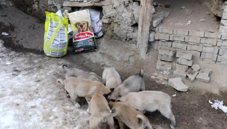 İstanbul’dan Erzurum’a uzanan yardım eli