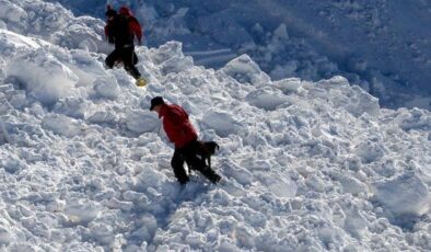 Japonya’da kar felaketi devam ediyor: Ölü sayısı 42’ye ulaştı
