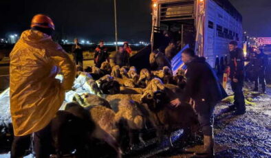 Kayseri’de ‘taşkın’ alarmı: 200 hayvan tahliye edildi