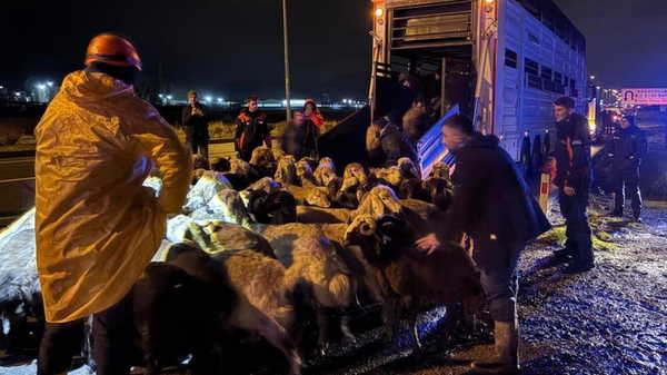 Kayseri’de ‘taşkın’ alarmı: 200 hayvan tahliye edildi