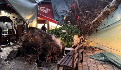 Kemeraltı’nda 5 asırlık çınar ağacı devrildi: ‘Yağmur olmasa büyük facia olurdu’