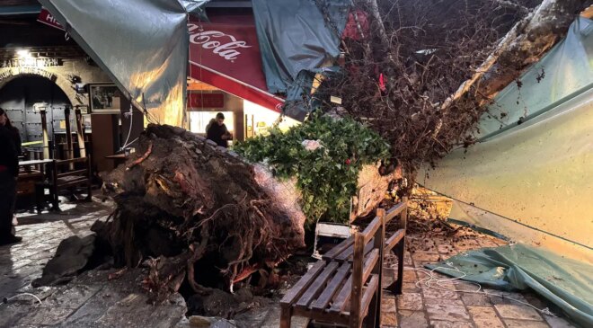 Kemeraltı’nda 5 asırlık çınar ağacı devrildi: ‘Yağmur olmasa büyük facia olurdu’