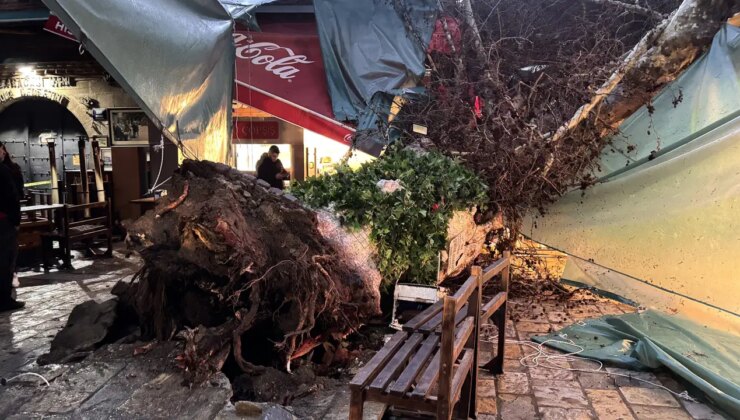 Kemeraltı’nda 5 asırlık çınar ağacı devrildi: ‘Yağmur olmasa büyük facia olurdu’