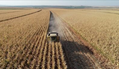 Kırsal ekonomiye destek: Girişimcilere 114,4 milyon lira hibe