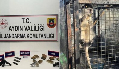 Kuşadası’nda operasyon: Ruhsatsız silah ve maymun ele geçirildi