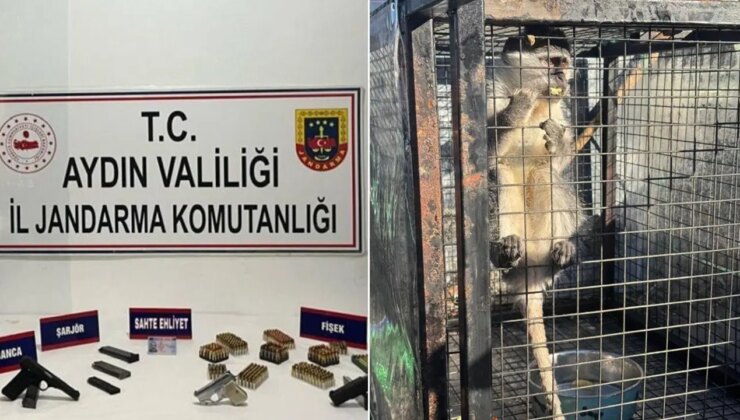 Kuşadası’nda operasyon: Ruhsatsız silah ve maymun ele geçirildi