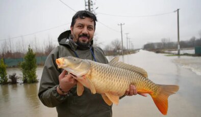 Meriç Nehri çekildi, geriye 7 kiloluk sürpriz kaldı: Tarlasında dev balık buldu