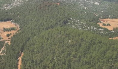 Milas’ta acele kamulaştırmaya karşı 96 dava: “Bu topraklar maden sahası değil, yaşam alanıdır”