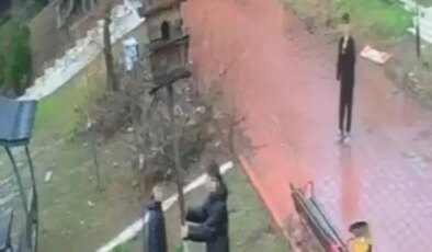 O anlar kamerada: Parktaki kuş yuvasını parçaladılar