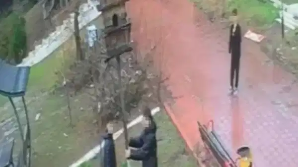 O anlar kamerada: Parktaki kuş yuvasını parçaladılar