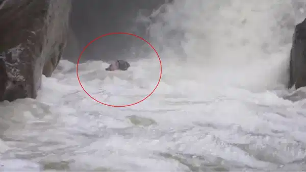 Ölümle burun buruna geldi… Dağcının zor anlarrı kameraya yansıdı!