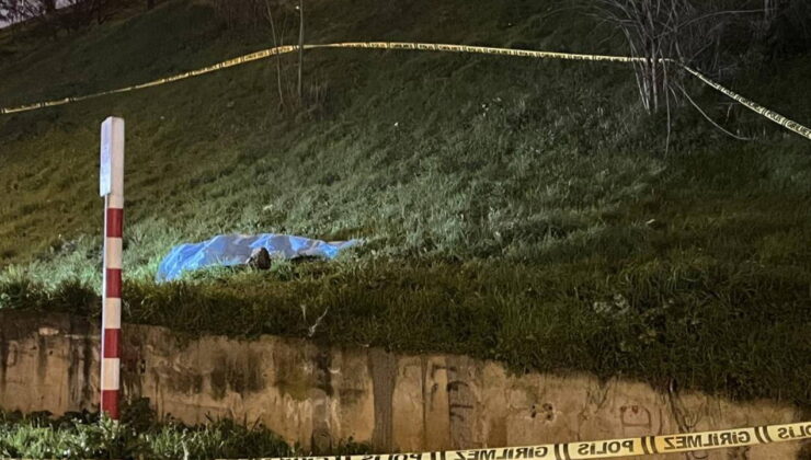 Otoyol kenarında erkek cesedi bulundu: En az 10 gün önce öldüğü tespit edildi