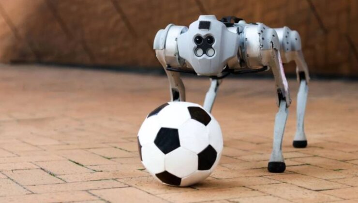 Robot köpekler, 2026 Dünya Kupası’nda görev yapacak
