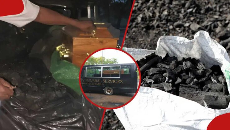 Sahte cenazeyle kaçakçılık: Tabutun altından kömür çıktı