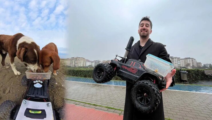 Sokak hayvanlarına, ‘oyuncak arabalı’ mama servisi