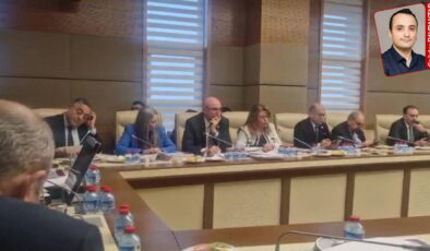 TBMM Kamu Denetçiliği Kurumu’nun kurum ve şirketlere verdiği sürenin üzerinden bir ay geçti: Ombudsmanı görmezden geldiler