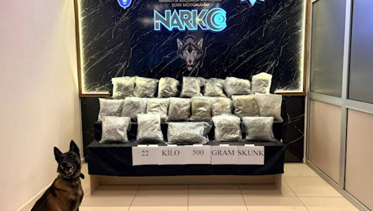 TIR’ın stepnesinde 22,5 kilo skunk ele geçirildi