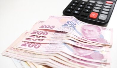 Türkiye ekonomisinin şubat ayında gündemi yoğun