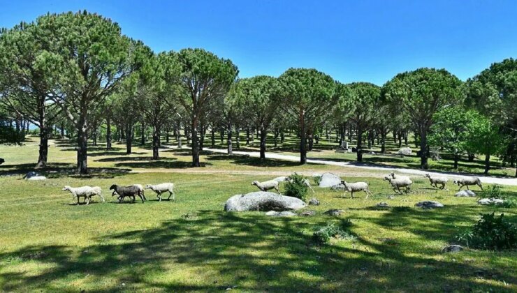 UNESCO adayı bölgeye ‘granit ocağı’ projesi… Belediye yargıya taşıdı!