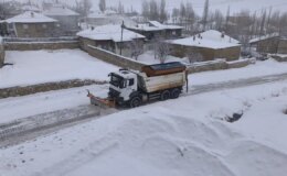 Van’da kar yağışı nedeniyle 53 yerleşim yeri ulaşıma kapandı
