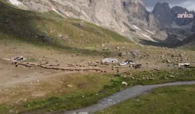 Van’da yayla ve meralar dışarıdan kiralamaya kapatıldı