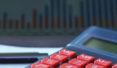 Yurt içi üretici fiyat endeksi açıklandı