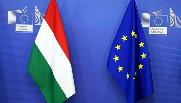 Almanya, Macaristan’ı ‘AB’ye sadakatsizlikle’ suçladı