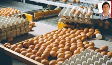 Bakanlık yönetmelikte dikkat çeken değişiklikler yaptı: Yumurtanın tadı kaçıyor