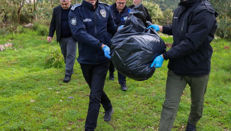 Buca’da hayvan ölümlerinde zehirlenme tespit edildi