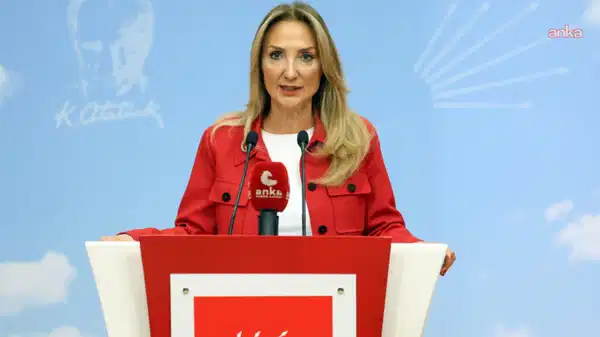 CHP’li Nazlıaka: ‘Aile yılında 297 şüpheli ölüm, 294 de kadın cinayeti işlendi’