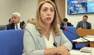 DEM Parti Saliha Aydeniz hakkında soruşturma süreci başlattı