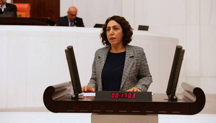 DEM Partili Saliha Aydeniz Meclis’teki görevinden istifa etti
