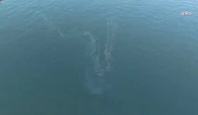 İzmir Körfezi’nde deniz kirliliği tespit edildi