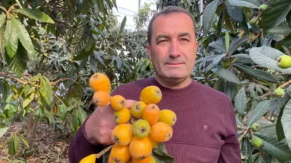 Mersin’den erken hasat müjdesi: Kilosu 1500 TL! Alıcısı Dubai’de….