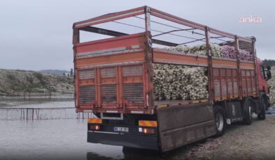 Nakliyeciler mazot zamlarından yakındı: ‘Mazot zammı bizi öldürdü’