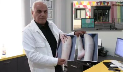 Torunu okulda şiddet gördü: Mağdur çocuklara destek birimi kurdu