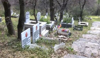 Türkiye’nin ilk evcil hayvan mezarlığına bayram ziyareti