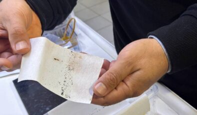 Antalya’da yoğun yağışlar sonrası sivrisinek alarmı: Uzmanlardan kritik uyarı!