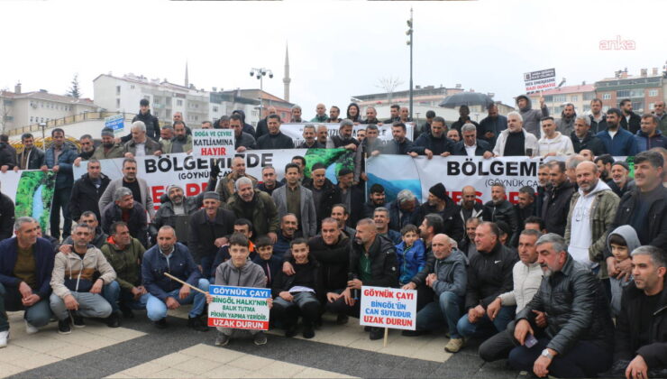Bingöl’de ‘HES’ protestosu: ‘Devlet ormanımıza, toprağımıza göz koyup; göz koyanlara karşı susuyor’