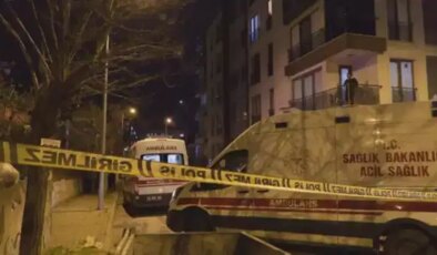 Dehşet saçtı: Annesi ve ağabeyini öldürdü, cinayet silahıyla yakalandı