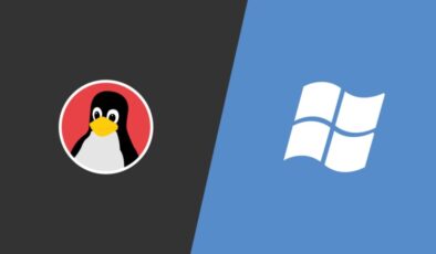 Fransa, devlet sistemlerini Windows’tan Linux’a geçirmeye başladı