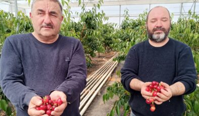 Jeotermal serada yetişti: Hasat takvimi 2 ay öne çekildi