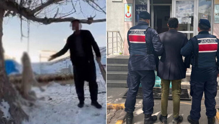 Köpeğini ‘çok yiyor’ diyerek ağaca asarak katletti!