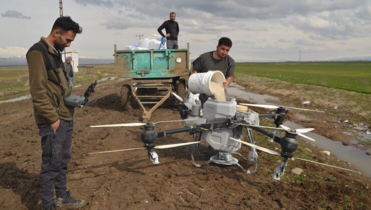 Muş’ta buğday tarlaları drone’larla gübreleniyor: Teknolojiyle verim artıyor