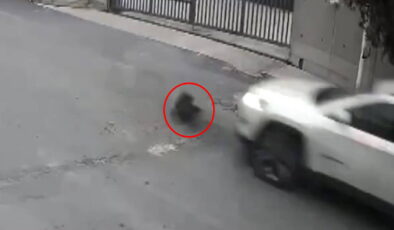 O anlar kamerada: Aracıyla köpeği ezip yoluna devam etti