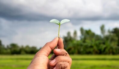 Ortaokul öğrencileri okullarında sürdürülebilir tarımı öğreniyor