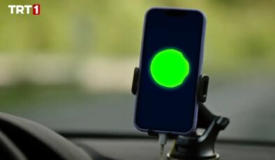 Taşacak Bu Deniz’in yapay zekası Niko bakın kim çıktı: Meğer sesin sahibi…