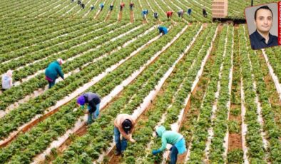 TÜSİAD-FAO raporuna göre çiftçi kurumsallık ve dijitalleşmeden uzak: Kooperatifin adı yok