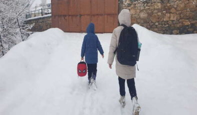 Van’da kar yağışı; 93 yerleşim yeri ulaşıma kapandı
